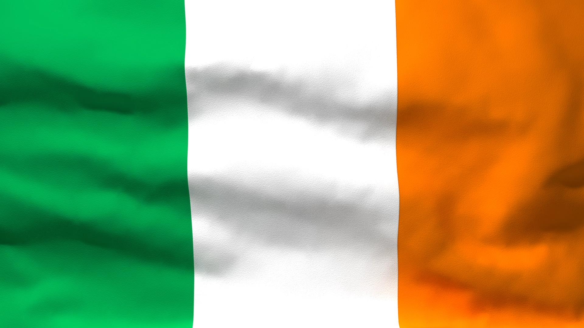 Znalezione obrazy dla zapytania irlandia flaga