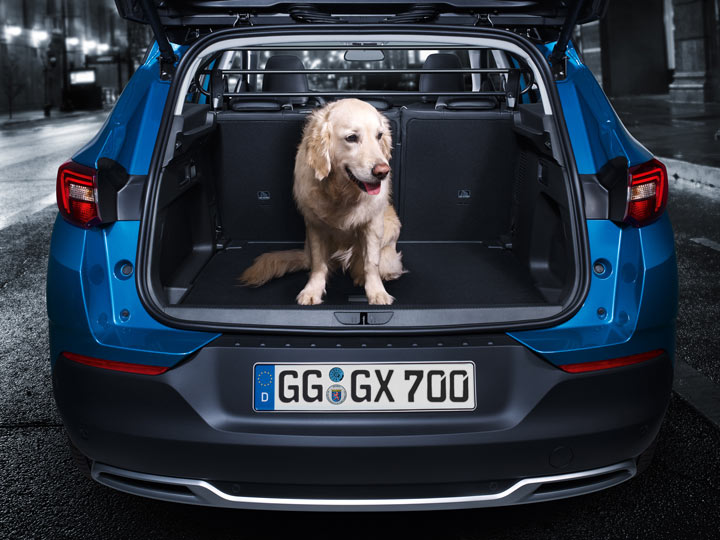 Pies w bagażniku crossover Opel Grandland X