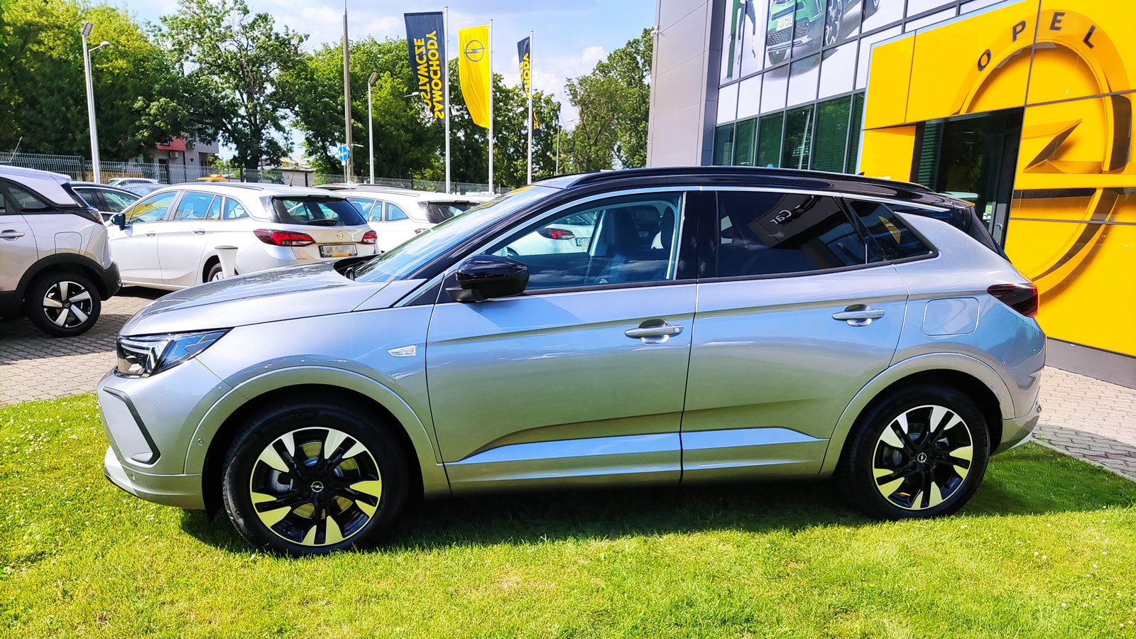 Nowy Opel Grandland, zielona przystrzyżona trawa, salon Opla