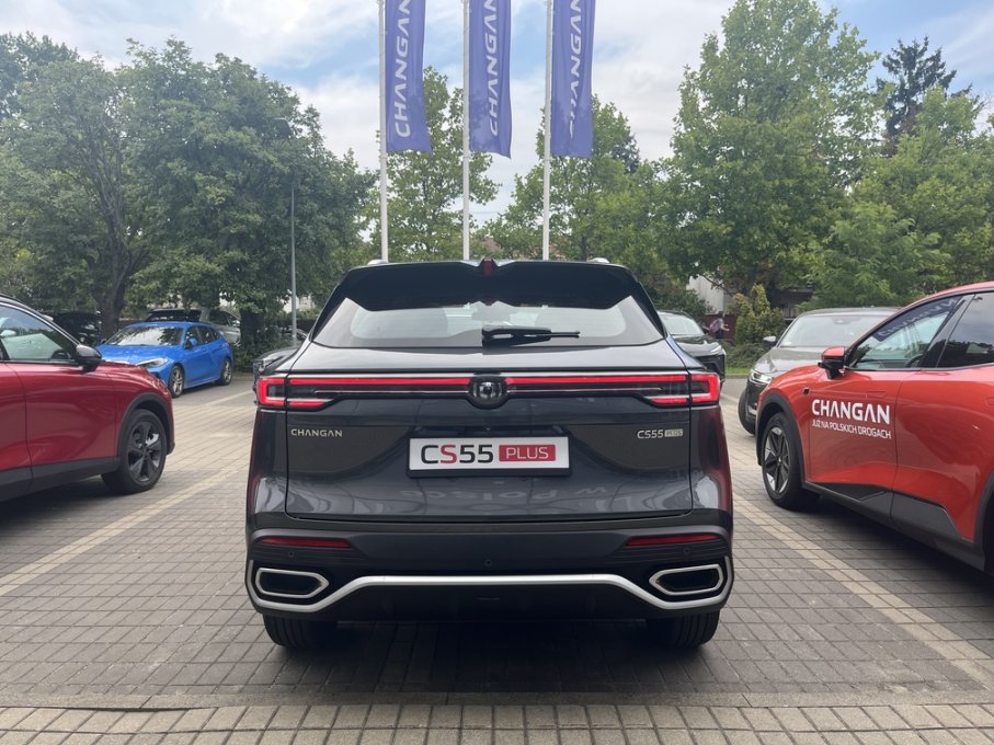 CS55 kolor Ciernista szarość