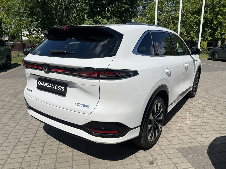 Fabrycznie nowy CS75 2026 od ręki