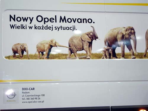 Opel Movano - słonie