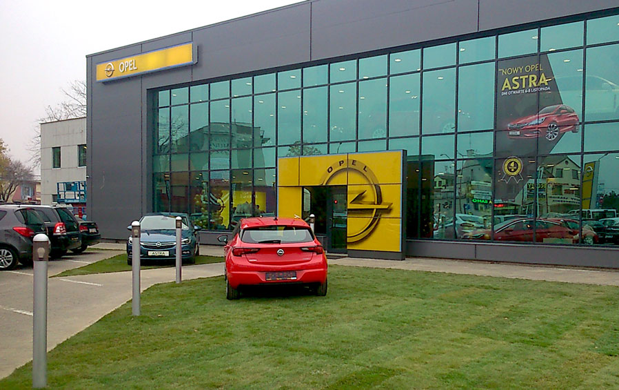 Zielona trawa w połowie listopada przed salonem Opel