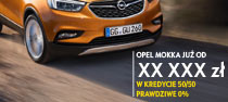 Nowy Opel na raty